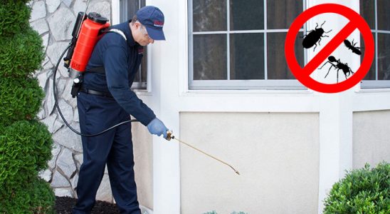 Çayırlı Uçan Haşere İlaçlama böcek ilaçlama ve haşere kontrolü — ilaclama-tr.com
